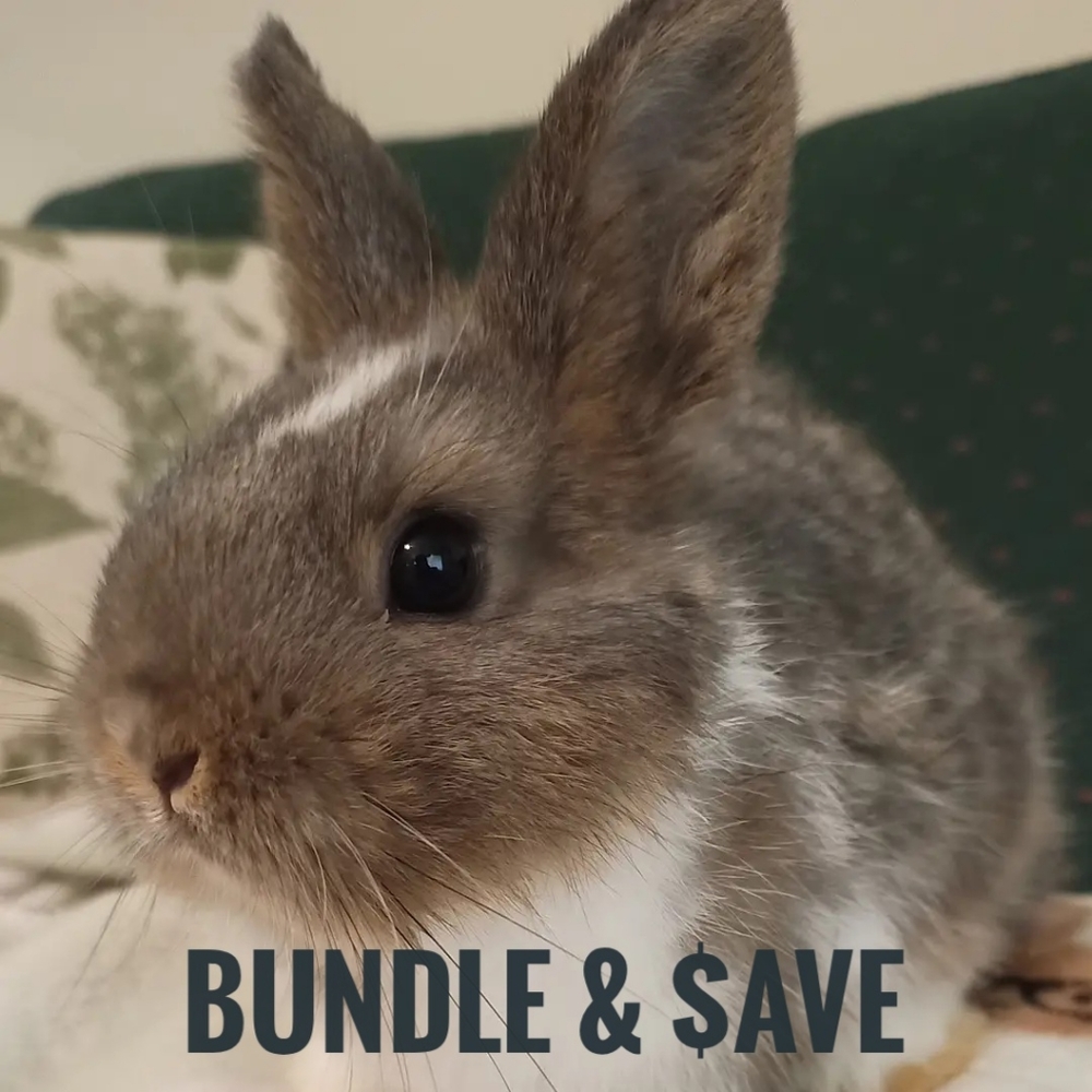 BUY 3 ITEMS & $AVE 10%